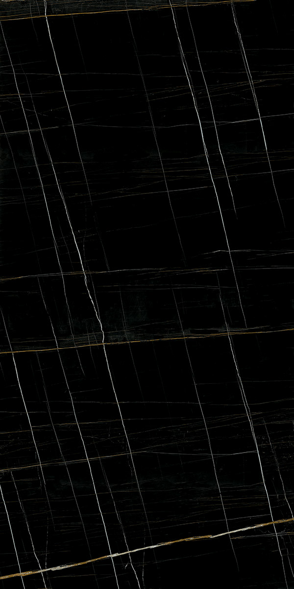 Sahara Noir