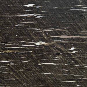 Cygnus