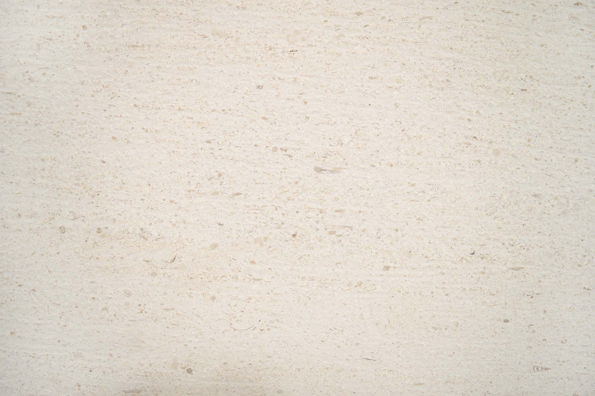 Mocca Cream Medium