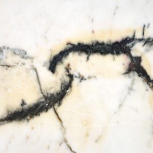 Paonazzetto Premium
