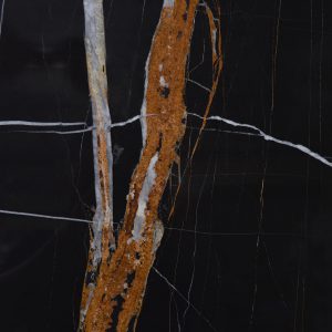 Sahara Noir