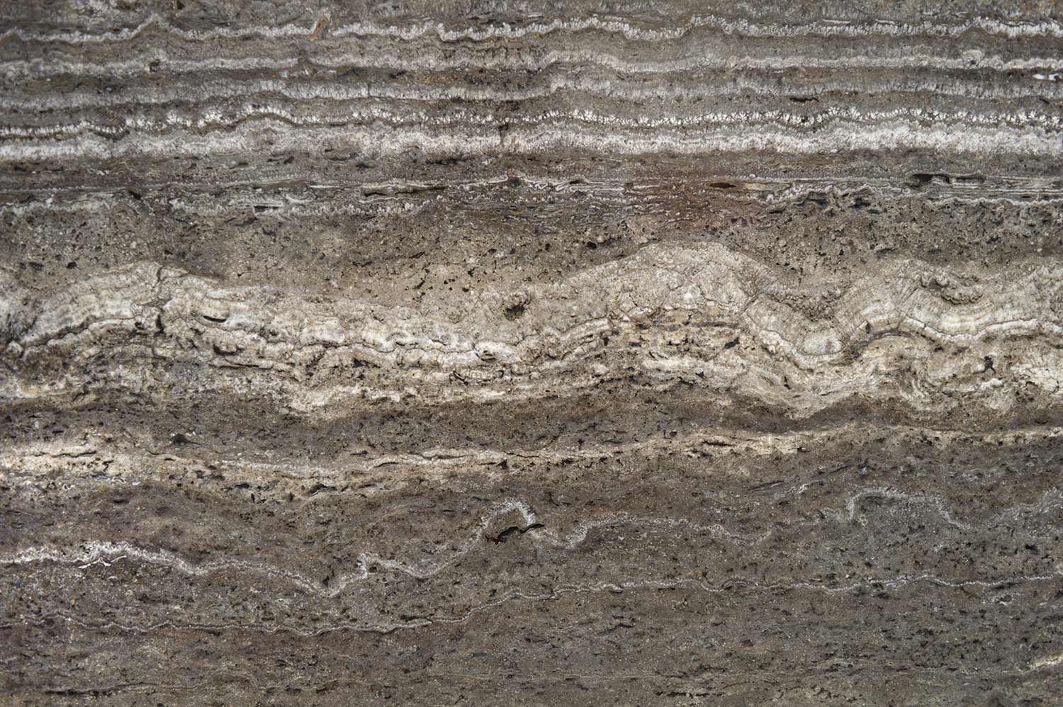 Silver Vein Cut
