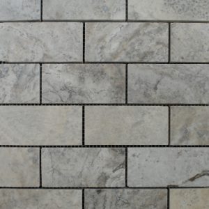Silver 2×4 Brick